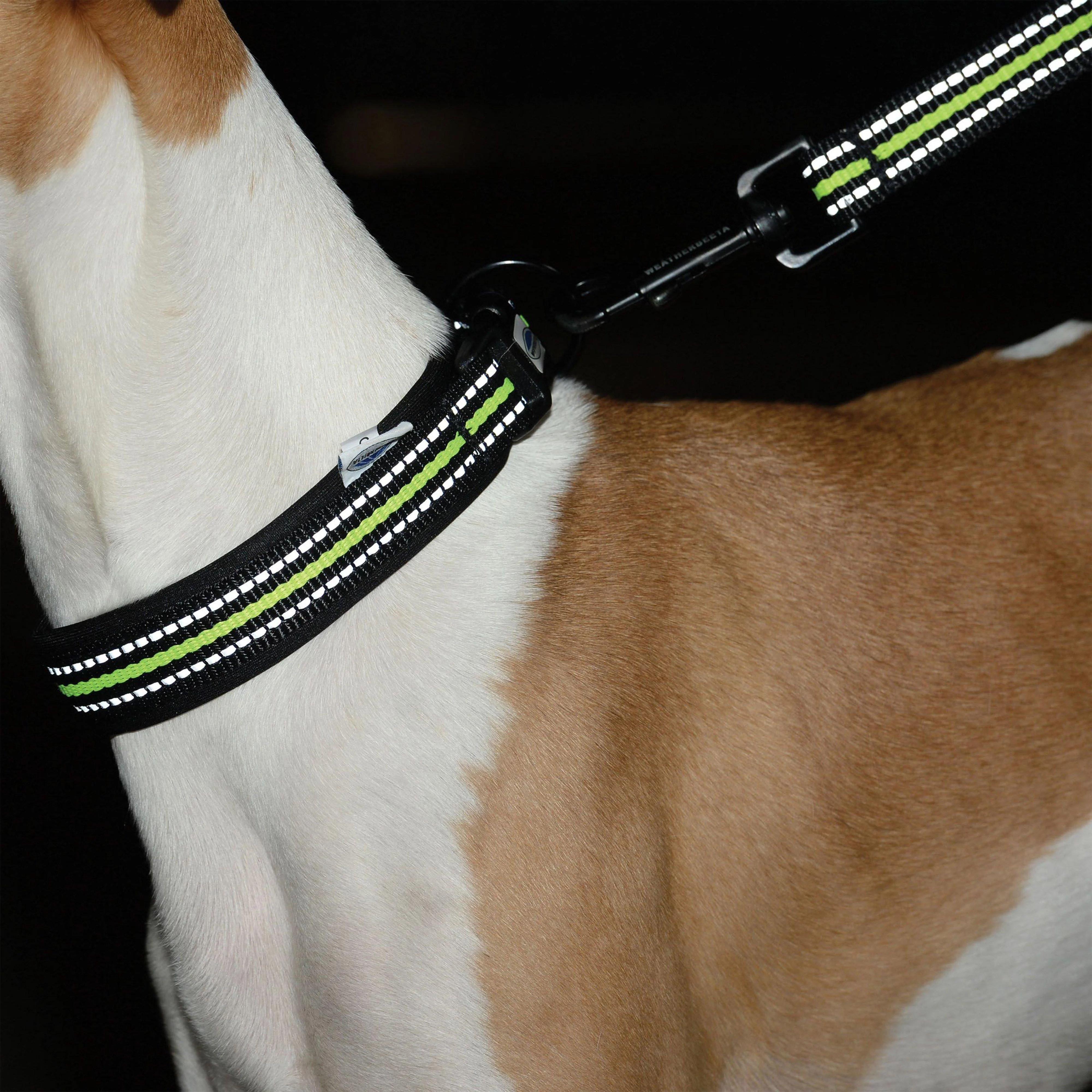 Reflective Dog Collar - Image 4