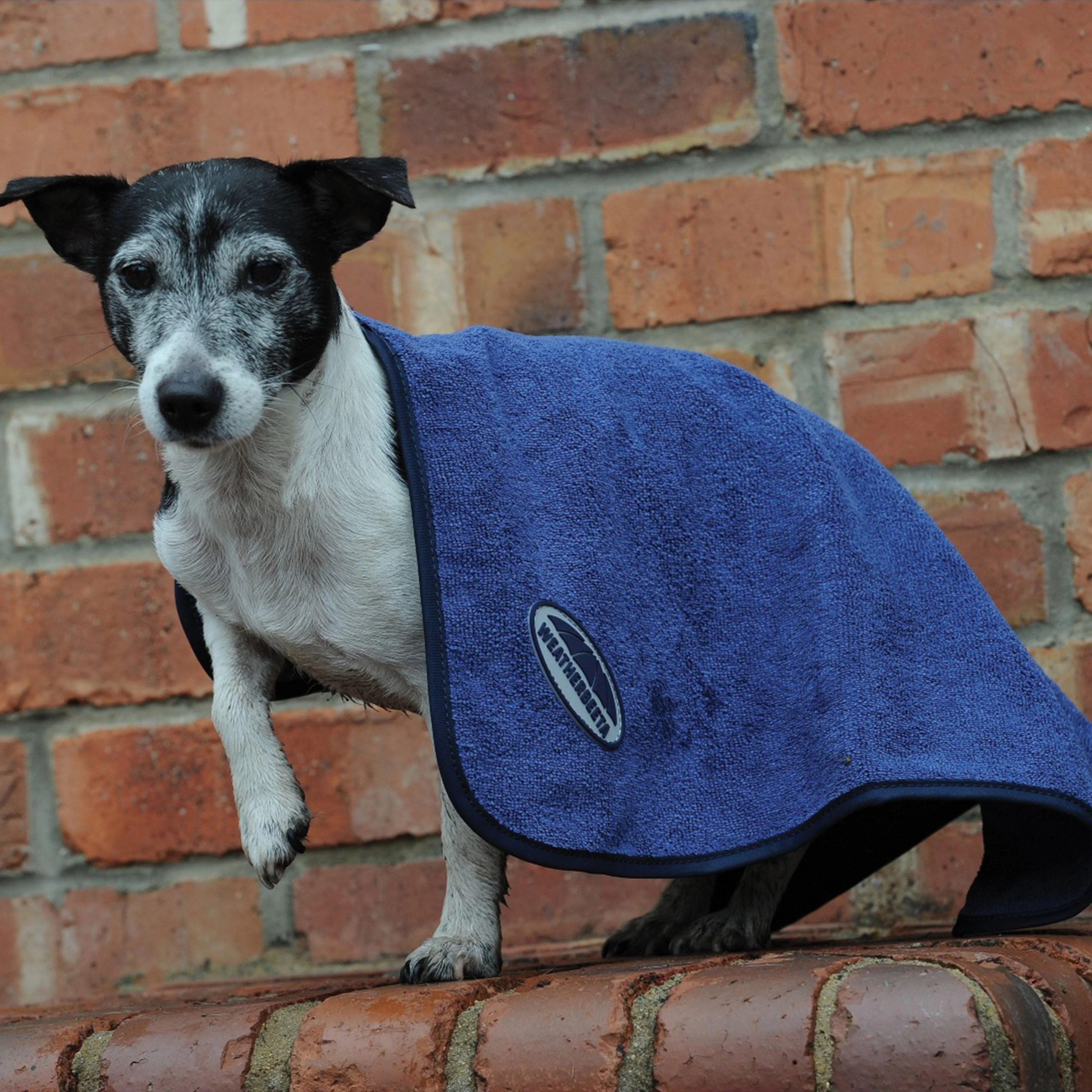 Small Dog Towel Blue - Image 3