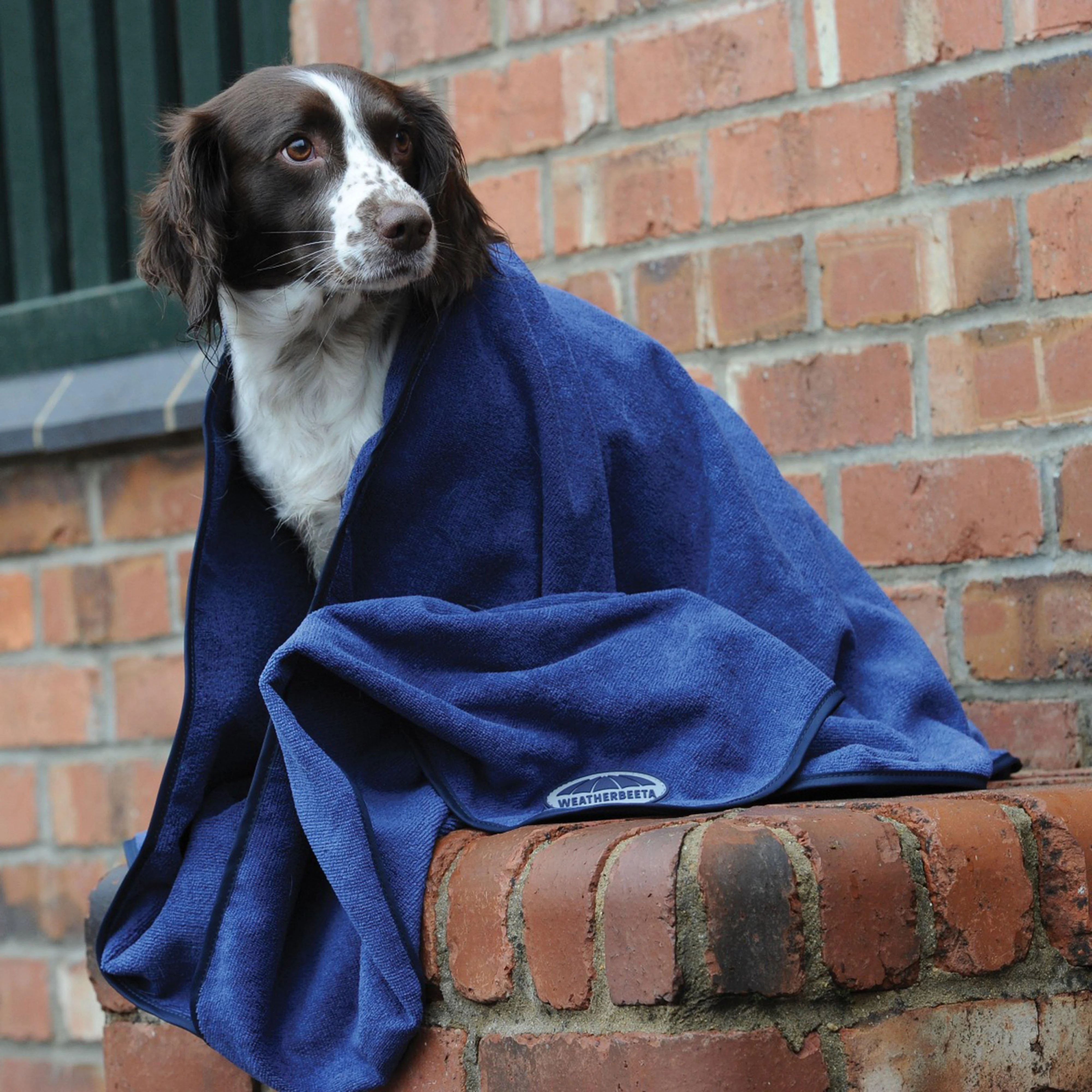 Small Dog Towel Blue - Image 5