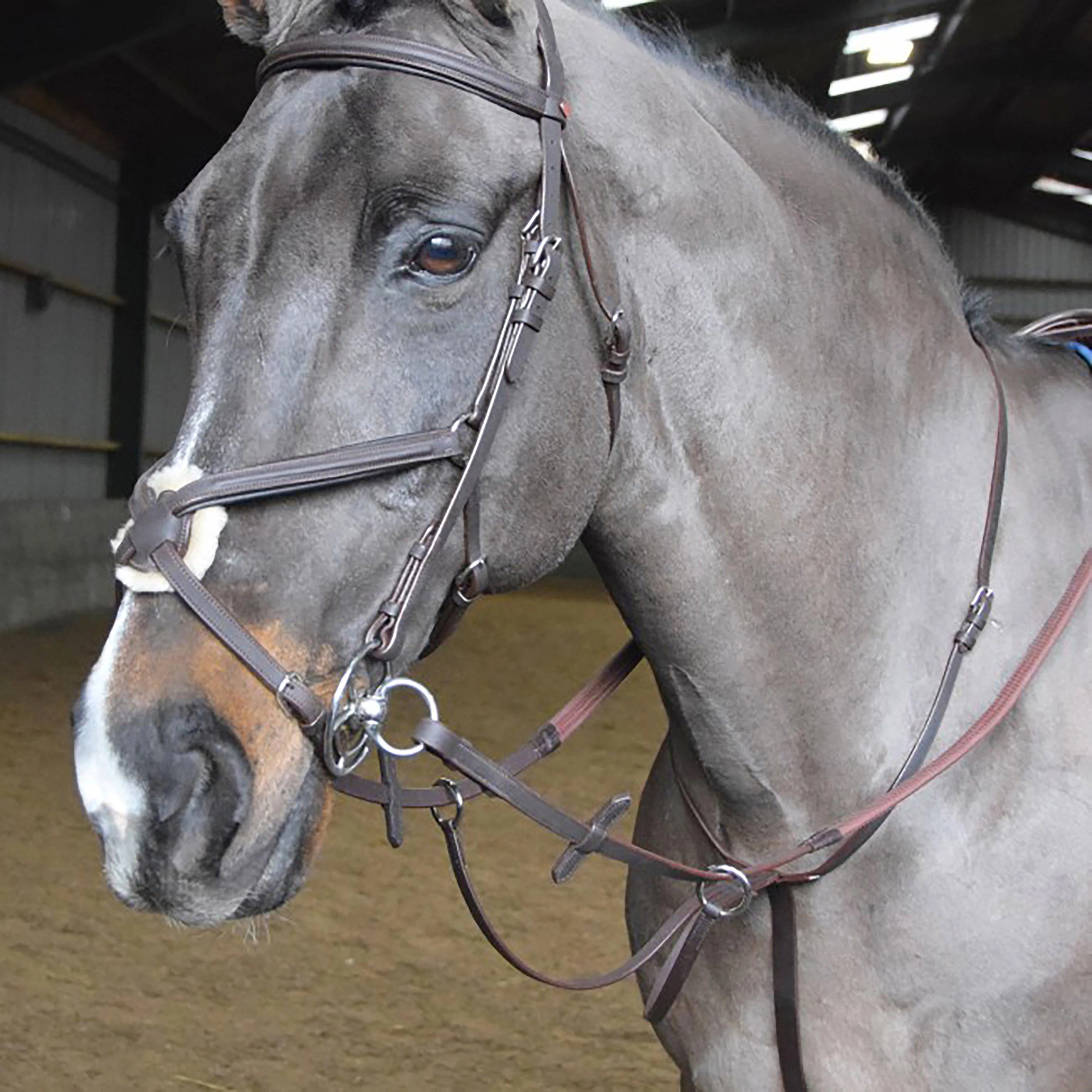 Ready-To-Ride Martingale - Image 4