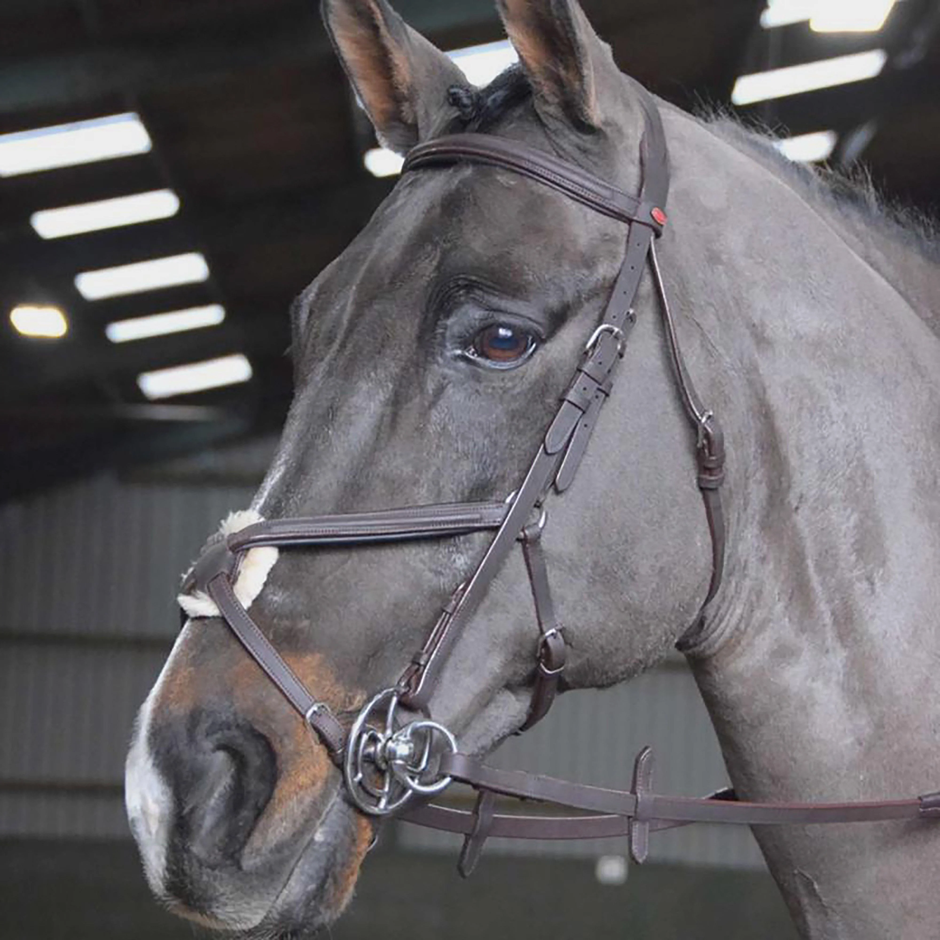 Ready-To-Ride Mexican Bridle