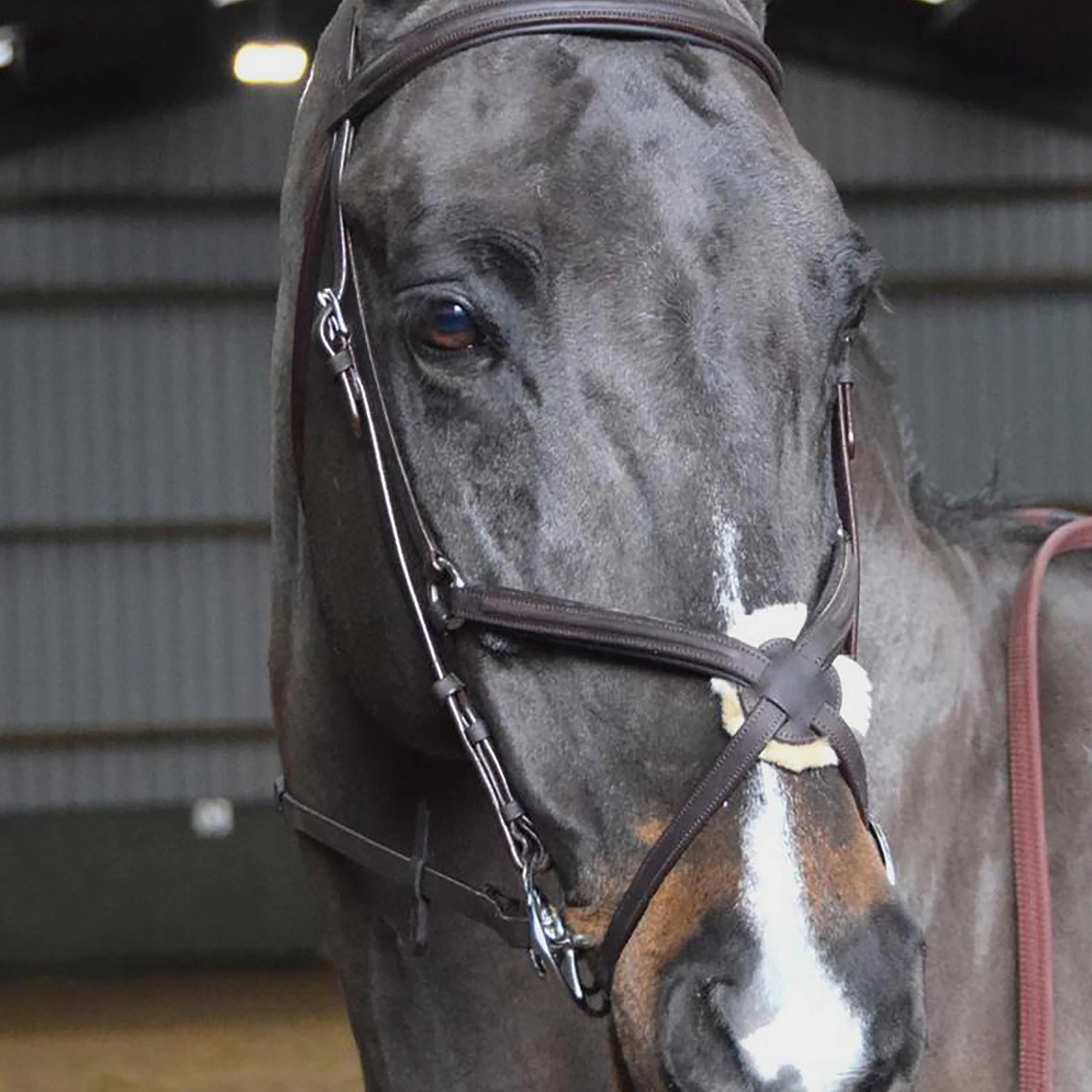 Ready-To-Ride Mexican Bridle - Image 2