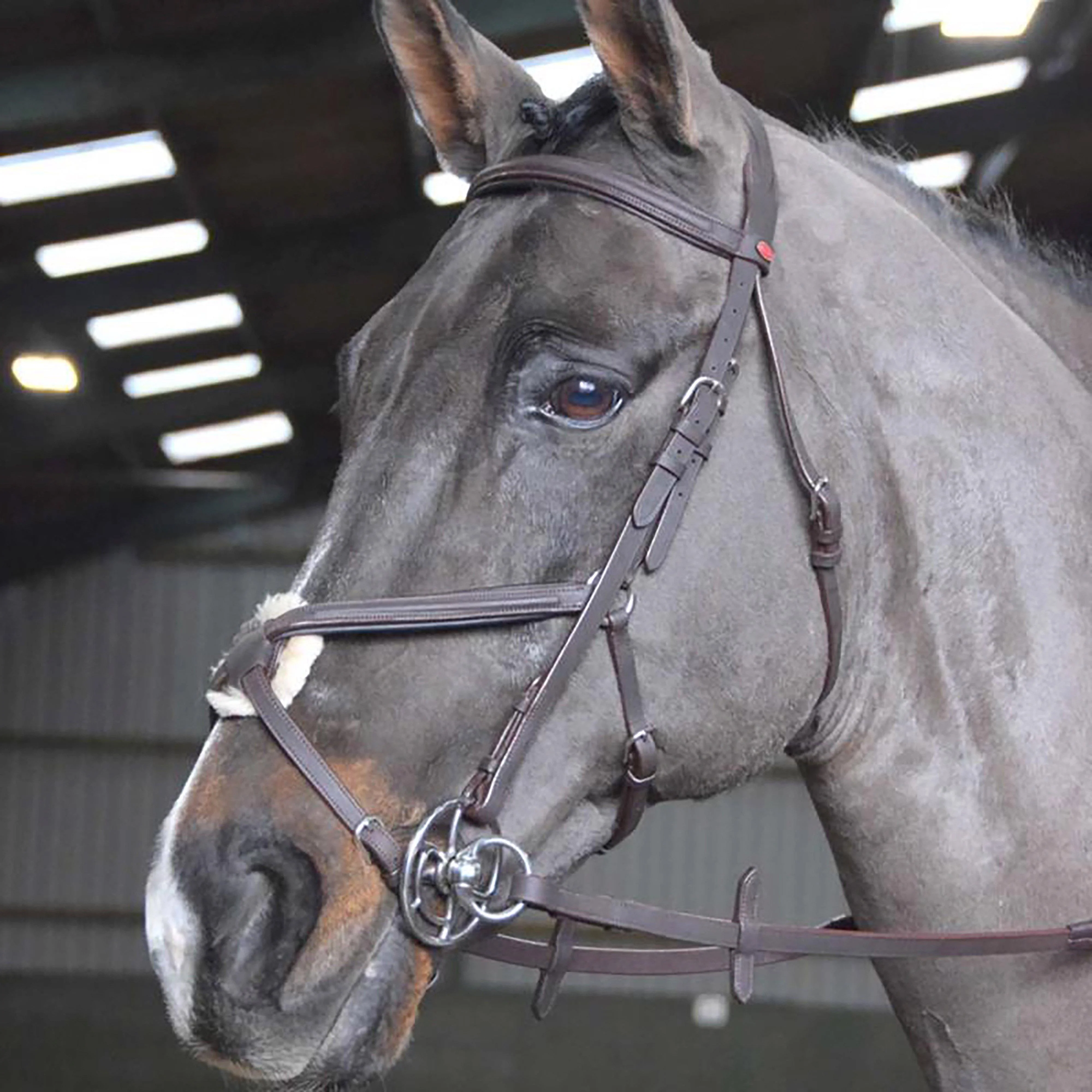 Ready-To-Ride Mexican Bridle - Image 3