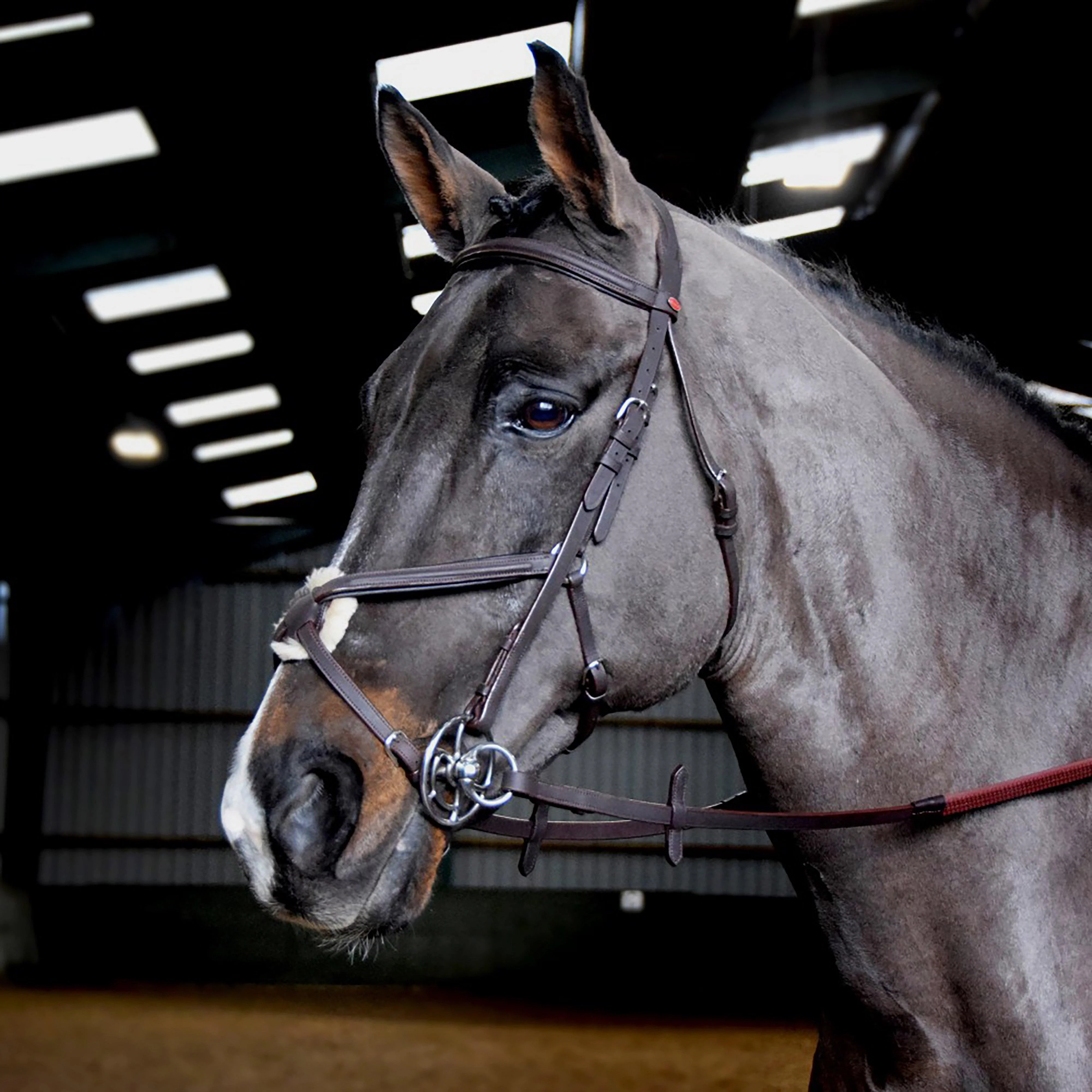 Ready-To-Ride Mexican Bridle