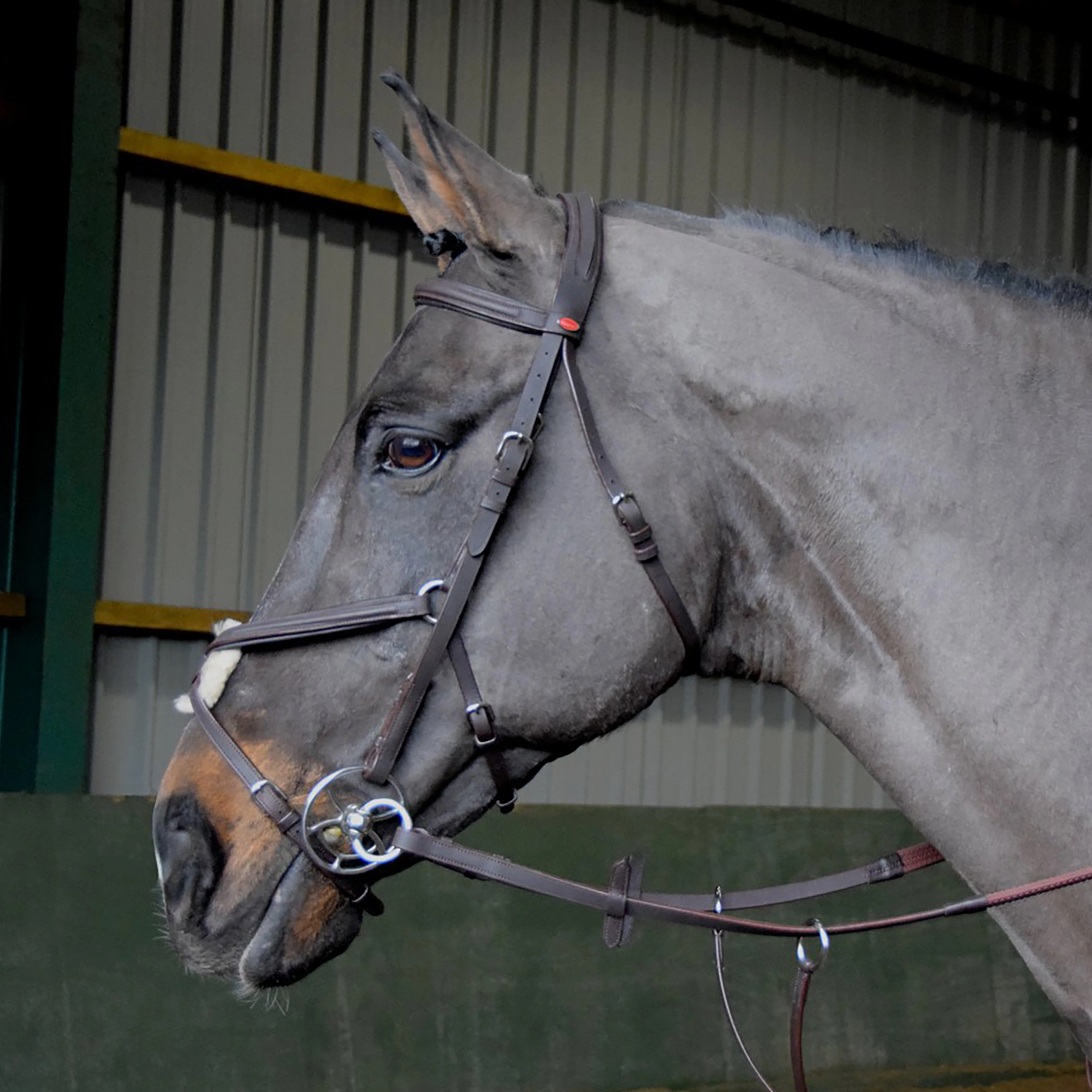Ready-To-Ride Mexican Bridle - Image 3