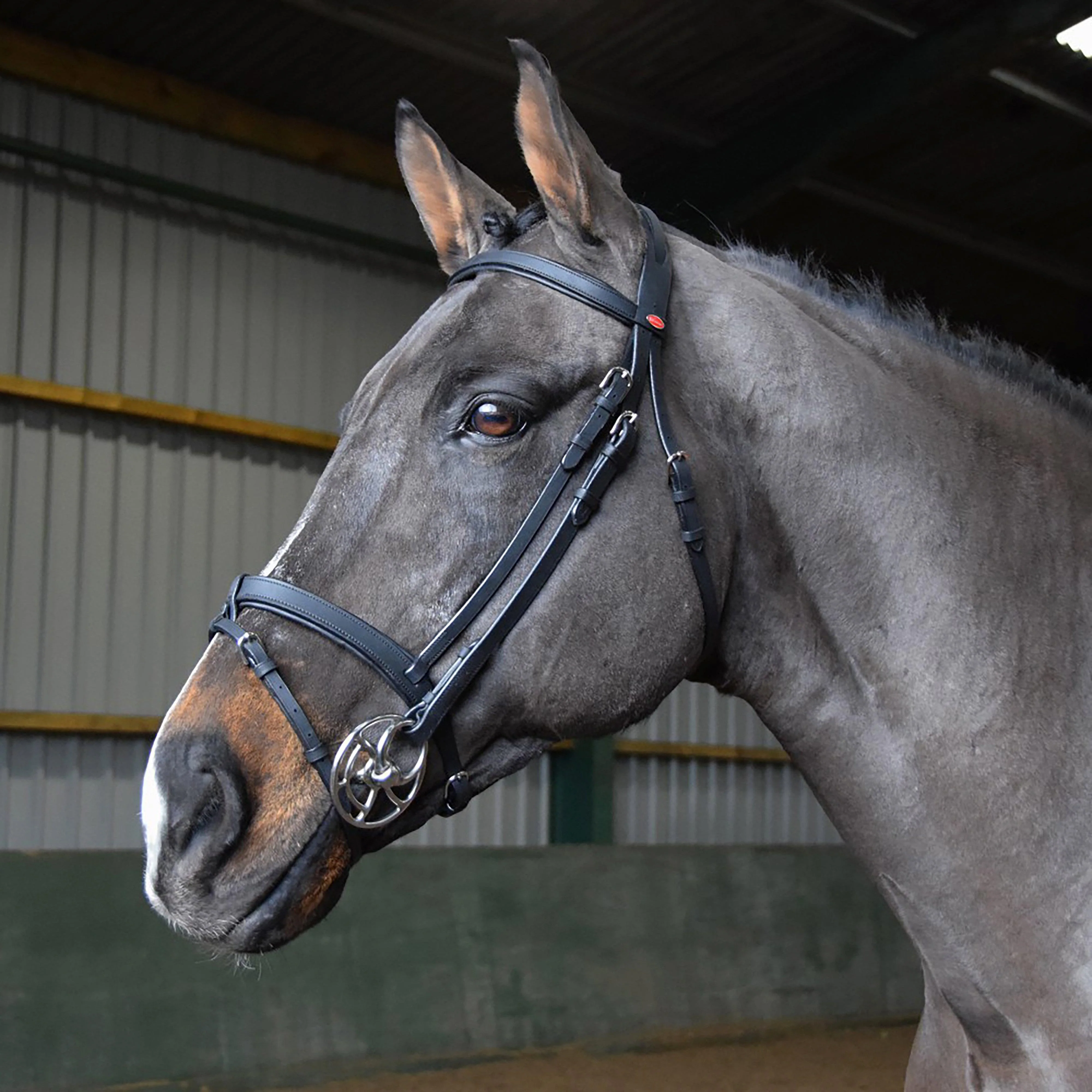 Ready-To-Ride Snaffle Flash Bridle - Image 2
